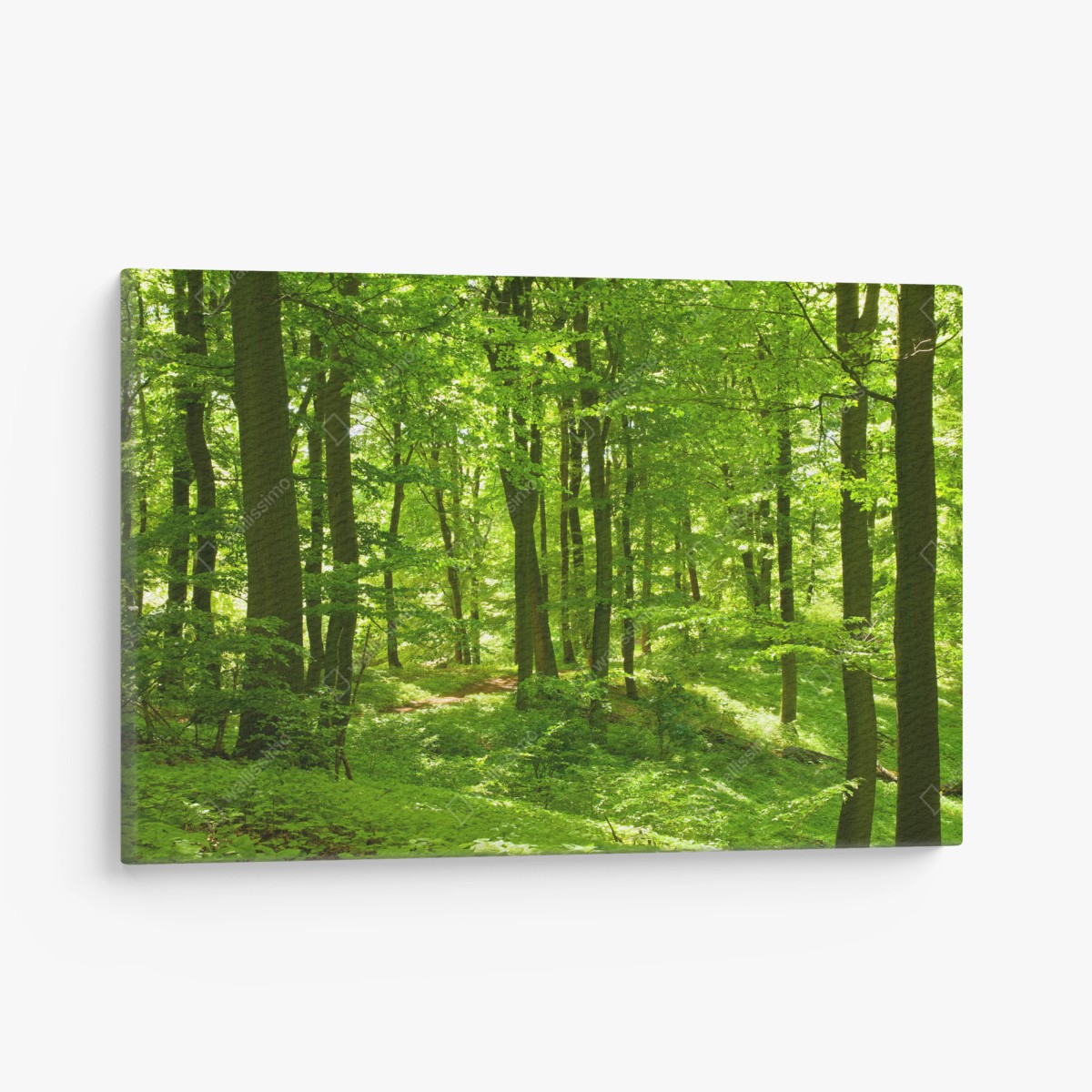 Cuadro en lienzo bosque verde luminoso y sereno – Pixers® Cuadro en lienzo bosque verde luminoso y sereno – Pixers®