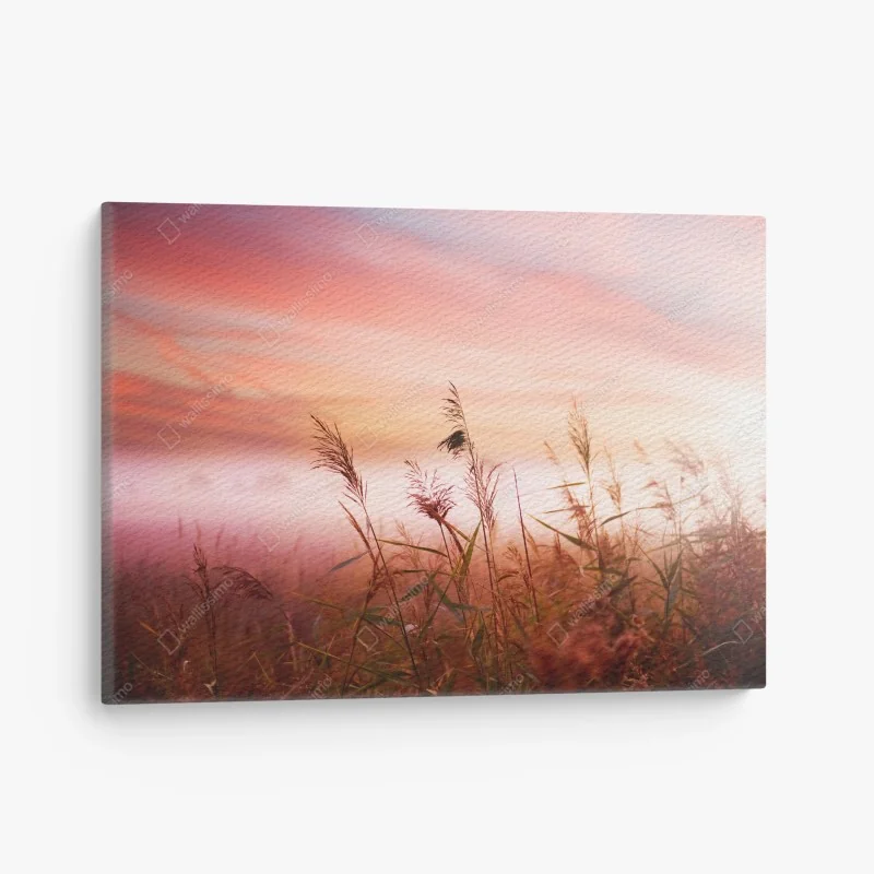 Cuadro en lienzo atardecer entre juncos en tonos rosados – Pixers® Cuadro en lienzo atardecer entre juncos en tonos rosados – Pixers®