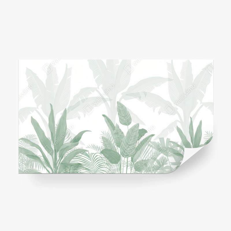 Fotomural VERDE HOJA PLANTA TROPICAL SELVA PARA SALÓN