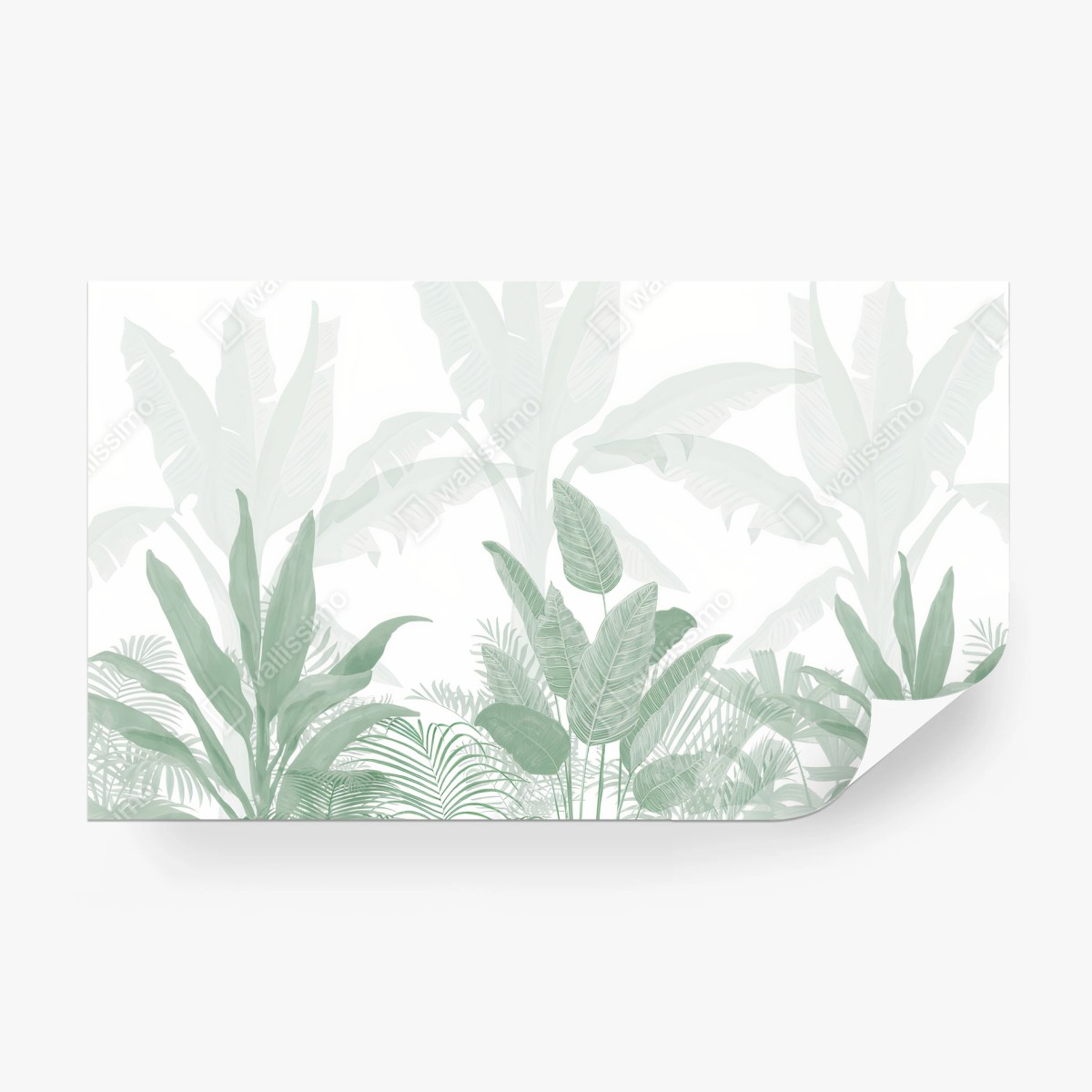 Fotomural VERDE HOJA PLANTA TROPICAL SELVA PARA SALÓN – Pixers®