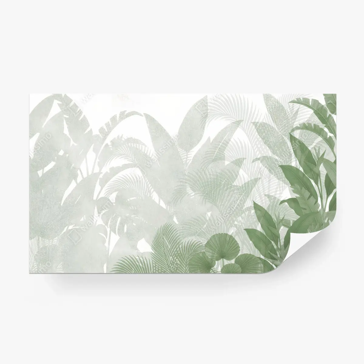 Fotomural HOJAS VERDES PLANTAS NATURAL MOTIVO PARA SALA – Pixers®