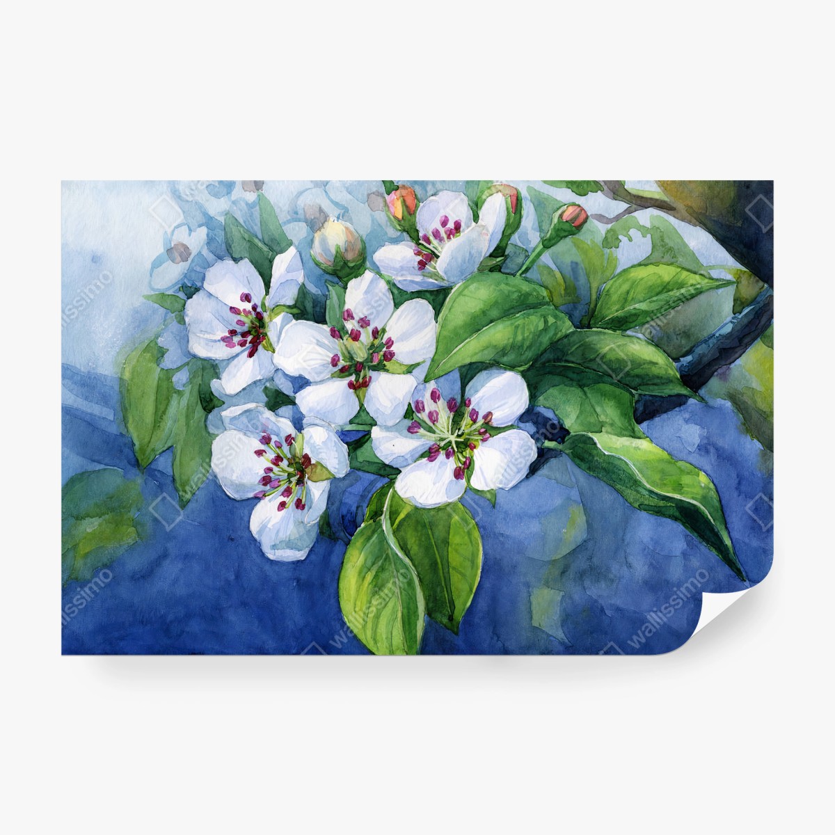 Fotomural FLOR PERAL ACUARELA PRIMAVERA ARTE PARA SALÓN – Pixers®