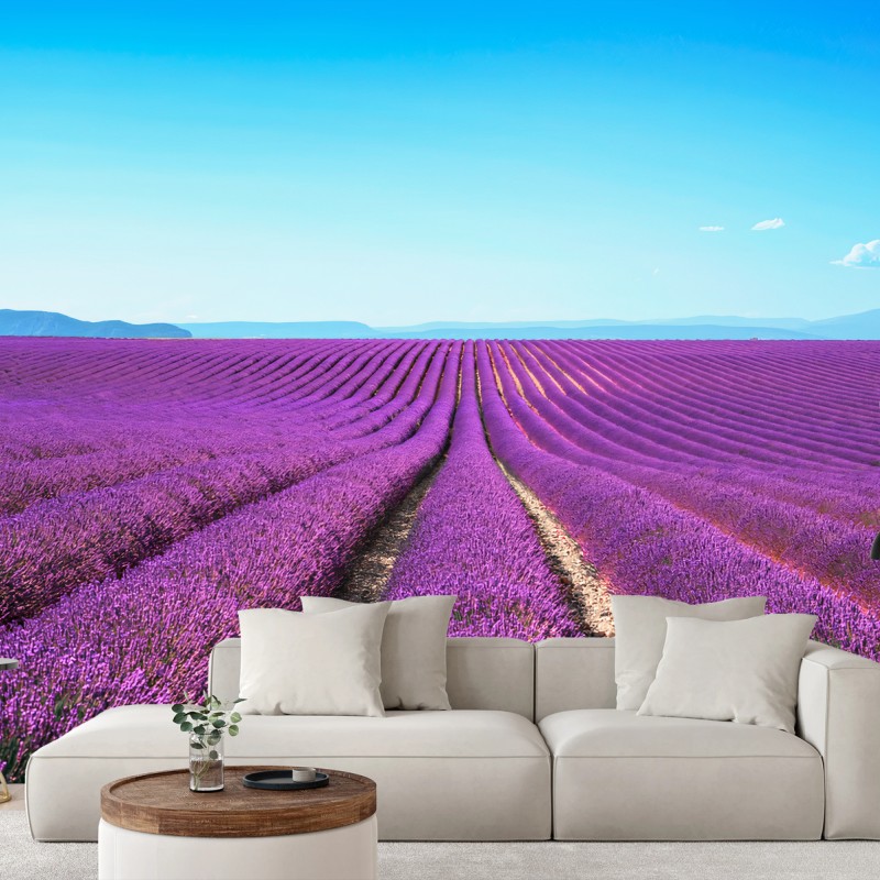 Fotomural LAVANDA PURPURA CAMPO PAISAJE CALMA PARA SALA