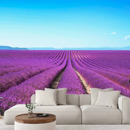 Fotomural LAVANDA PURPURA CAMPO PAISAJE CALMA PARA SALA – Pixers®