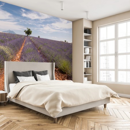 Fotomural LAVANDA CAMPOS PROVENZA PAISAJE ARBOL EN DORMITORIO – Pixers®