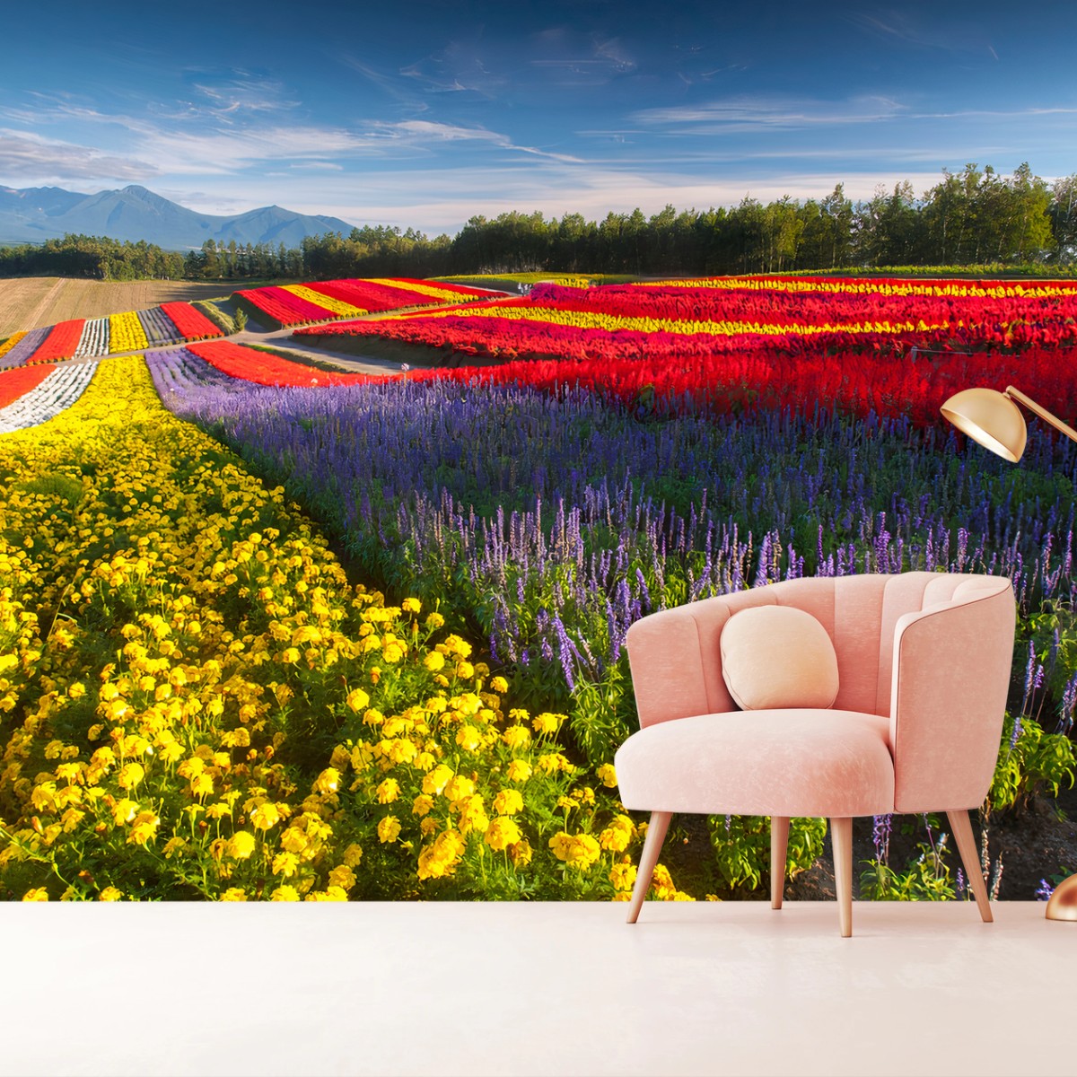 Fotomural FLORES CAMPO COLORIDO PAISAJE NATURALEZA PARA SALÓN – Pixers®