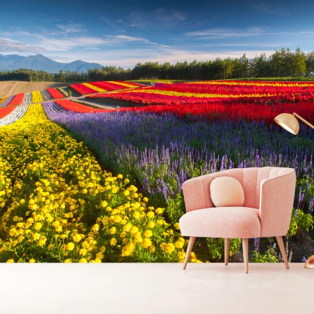 Fotomural FLORES CAMPO COLORIDO PAISAJE NATURALEZA PARA SALÓN – Pixers®