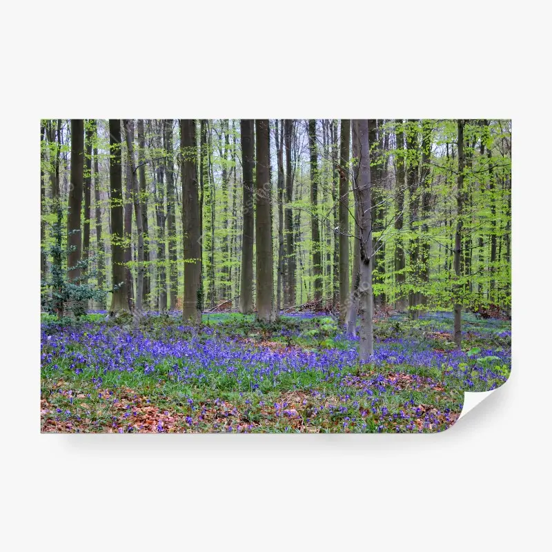 Fotomural BOSQUE AZUL PRIMAVERA ÁRBOLES NATURALEZA PARA SALÓN