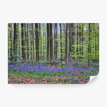 Fotomural BOSQUE AZUL PRIMAVERA ÁRBOLES NATURALEZA PARA SALÓN – Pixers®