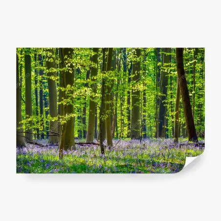 Fotomural BOSQUE VERDE ARBOL FLORES PRIMAVERA PARA SALON – Pixers®