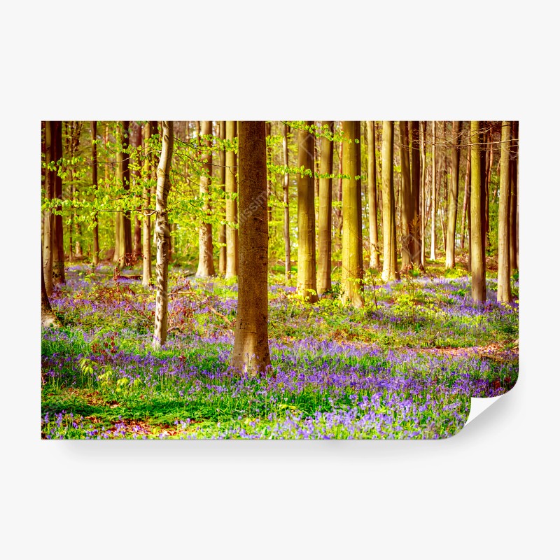 Fotomural CAMPANILLAS BOSQUE PRIMAVERA VERDE ARBOLES PARA SALÓN