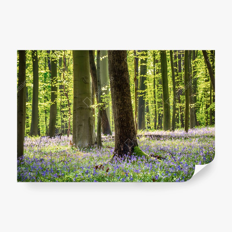 Fotomural BOSQUE FLORES PRIMAVERA NATURAL VERDE PARA SALA