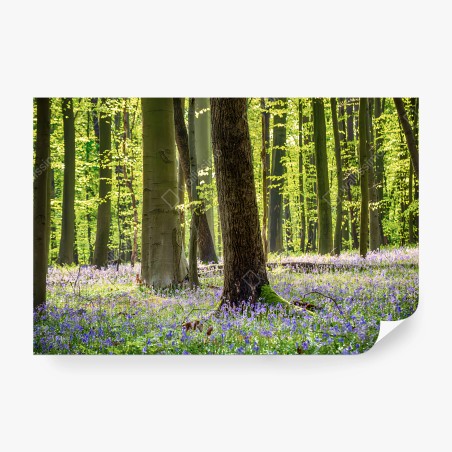 Fotomural BOSQUE FLORES PRIMAVERA NATURAL VERDE PARA SALA – Pixers®