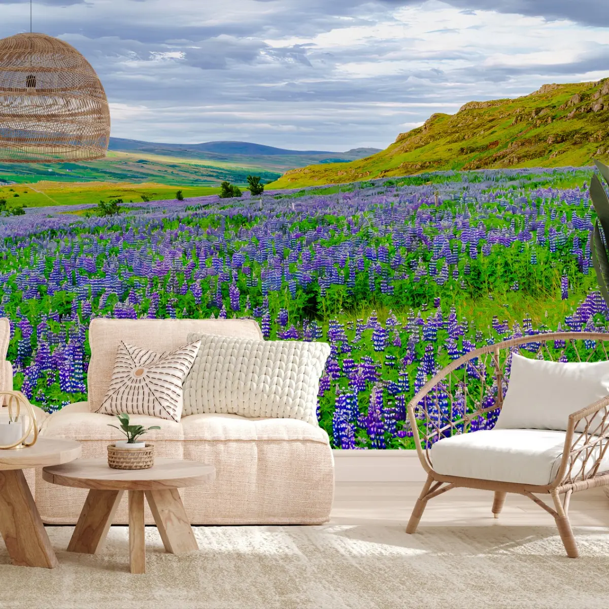 Fotomural ISLANDIA PAISAJE LUPINOS FLORES VIOLETAS PARA SALÓN – Pixers®