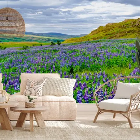 Fotomural ISLANDIA PAISAJE LUPINOS FLORES VIOLETAS PARA SALÓN – Pixers®