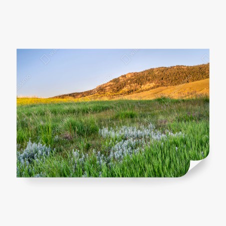 Fotomural MONTAÑAS PRADO HIERBA SOL COLORADO PARA SALÓN – Pixers®