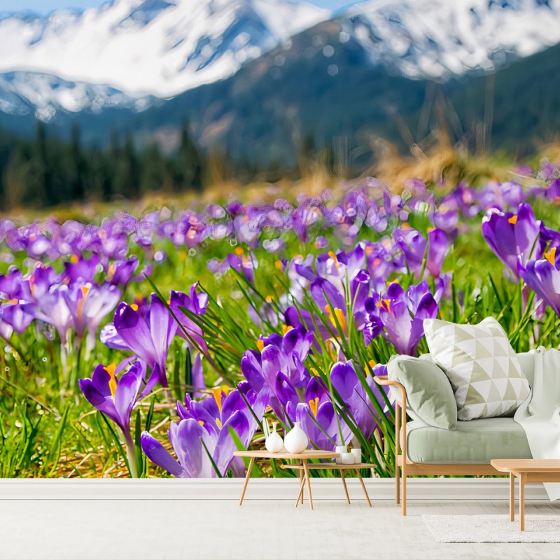Fotomural AZAFRANES MORADOS PRADO ALPINO PRIMAVERA PARA SALÓN