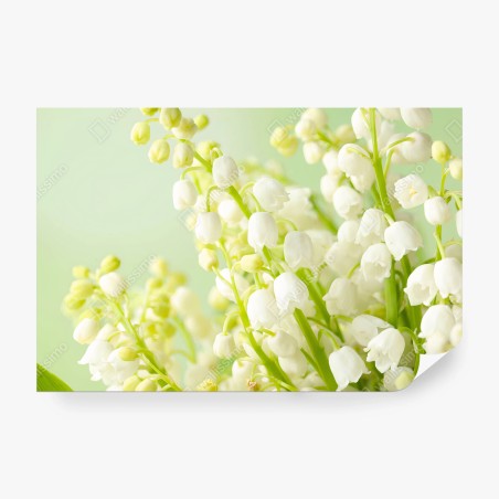 Fotomural LIRIO BLANCO FLORES PRIMAVERA SUAVE PARA DORMITORIO – Pixers®