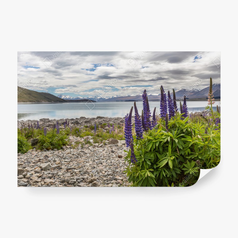Fotomural LAGO MONTAÑAS LUPIN NATURALEZA PAISAJE PARA SALON