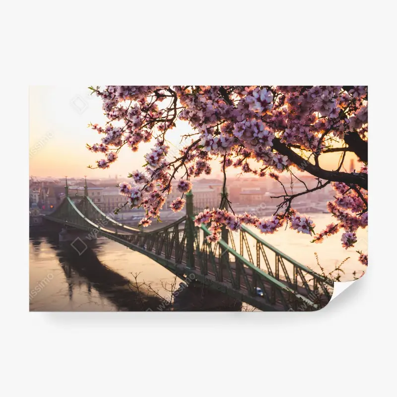 Fotomural CEREZO FLOR PUENTE SOL CIUDAD PARA SALA DE ESTAR