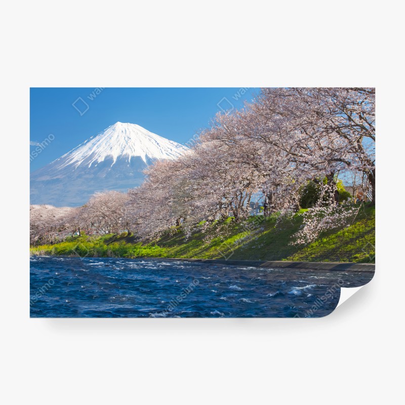 Fotomural FUJI SAKURA JAPON MONTAÑA PRIMAVERA PARA SALÓN