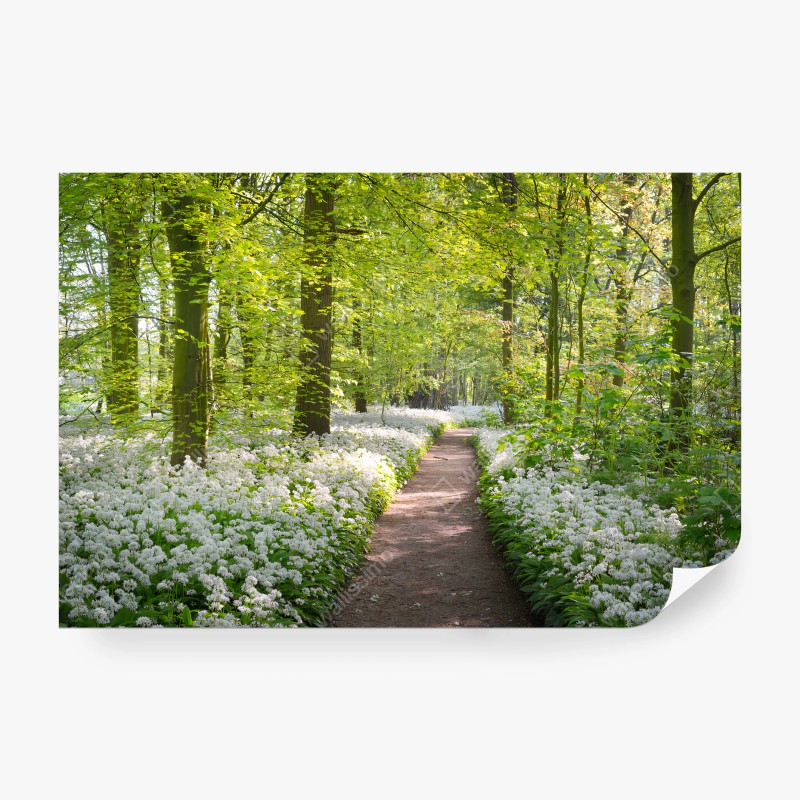 Fotomural BOSQUE SENDERO PRIMAVERA FLORES NATURAL PARA SALA