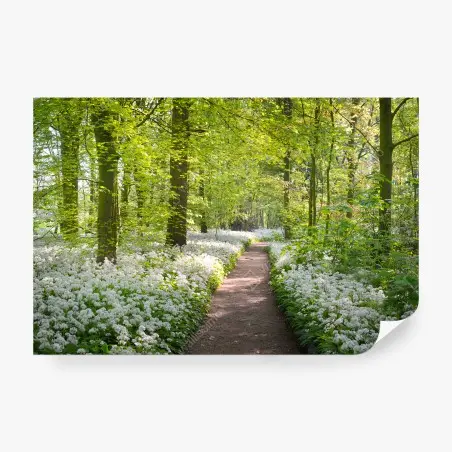 Fotomural BOSQUE SENDERO PRIMAVERA FLORES NATURAL PARA SALA – Pixers®