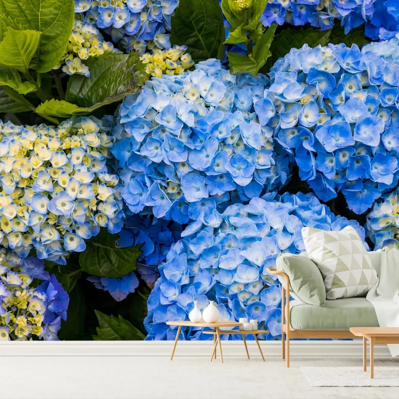 Fotomural AZUL HORTENSIA FLORES JARDIN NATURALEZA PARA SALÓN