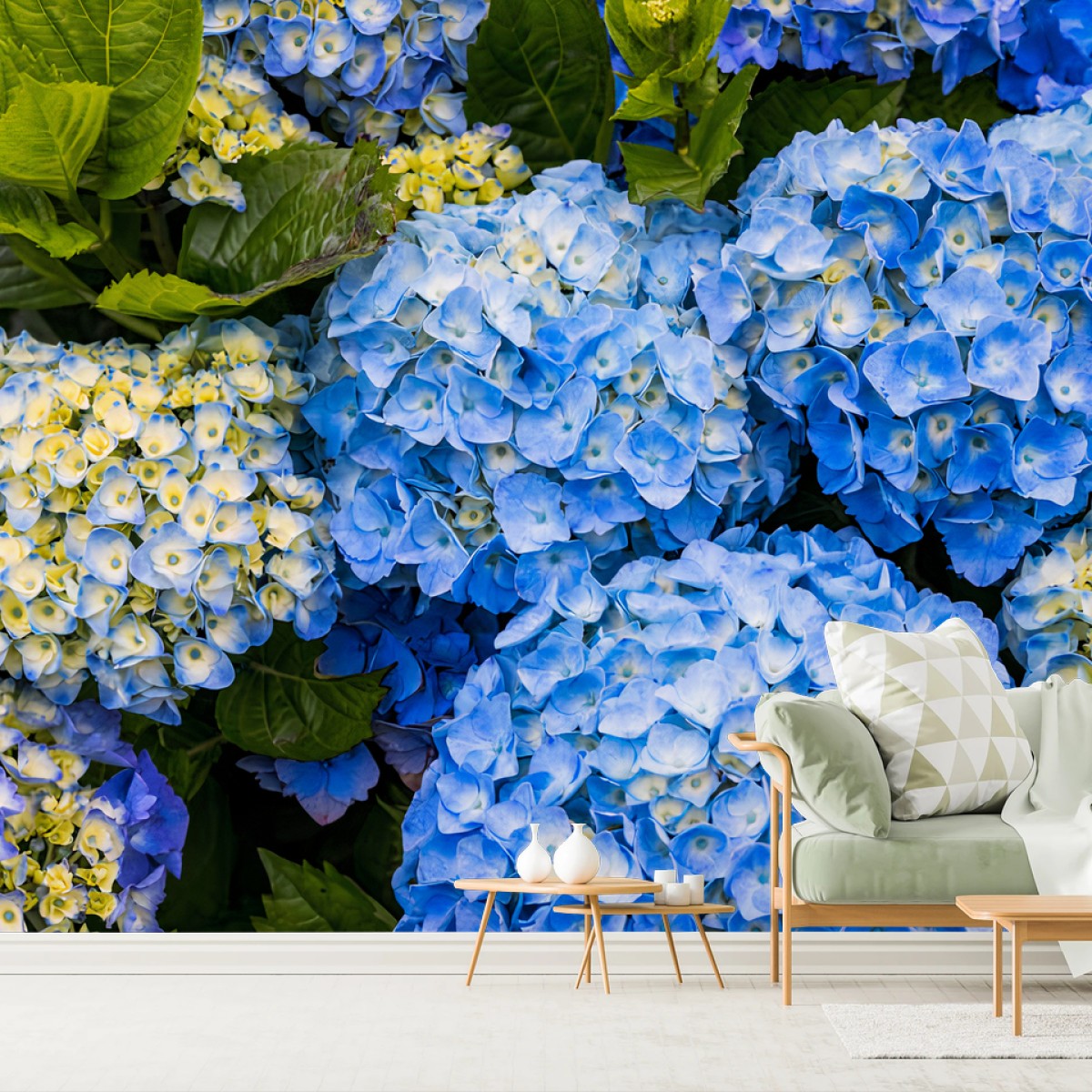 Fotomural AZUL HORTENSIA FLORES JARDIN NATURALEZA PARA SALÓN – Pixers®