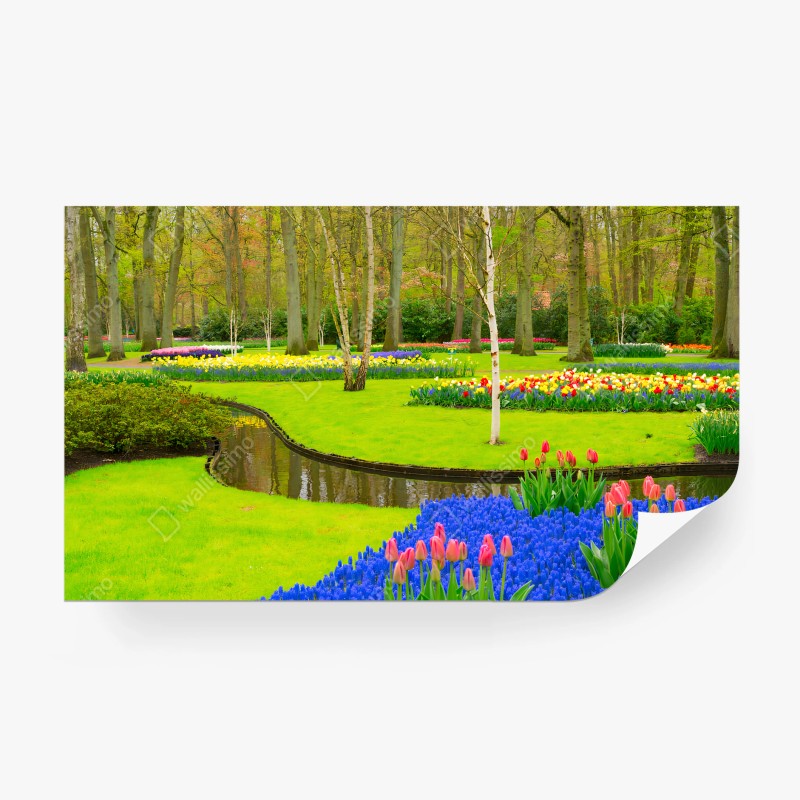 Fotomural PRIMAVERA FLORES TULIPANES JARDIN VERDE PARA SALÓN