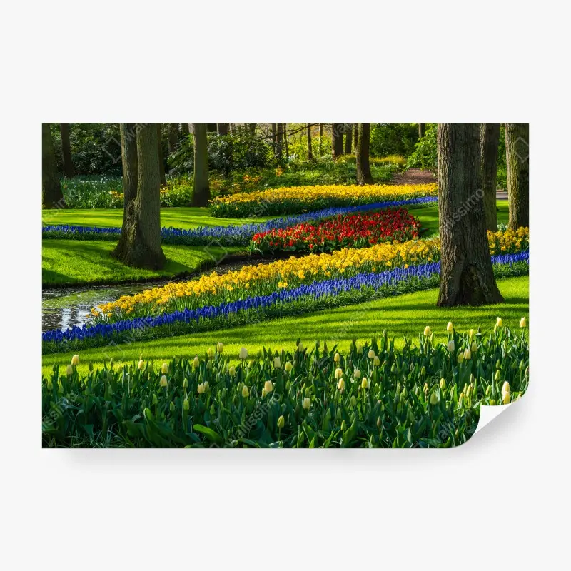 Fotomural PRIMAVERA FLORES TULIPANES JARDÍN VERDE PARA SALÓN
