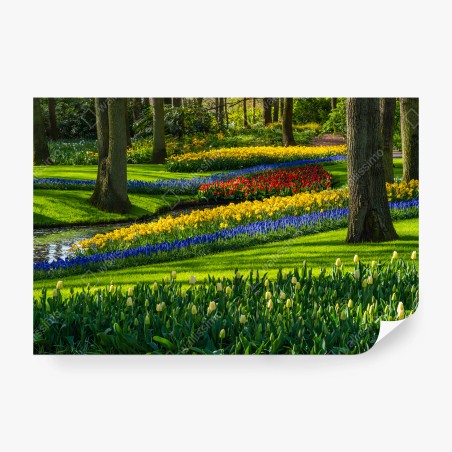 Fotomural PRIMAVERA FLORES TULIPANES JARDÍN VERDE PARA SALÓN – Pixers®