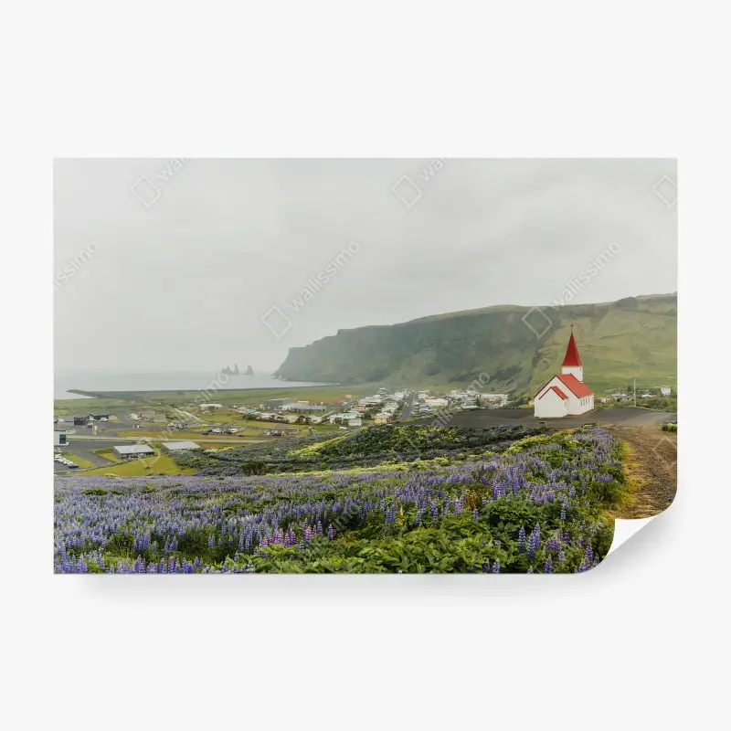 Fotomural ISLANDIA IGLESIA LUPINOS COSTA ACANTILADOS PARA SALÓN