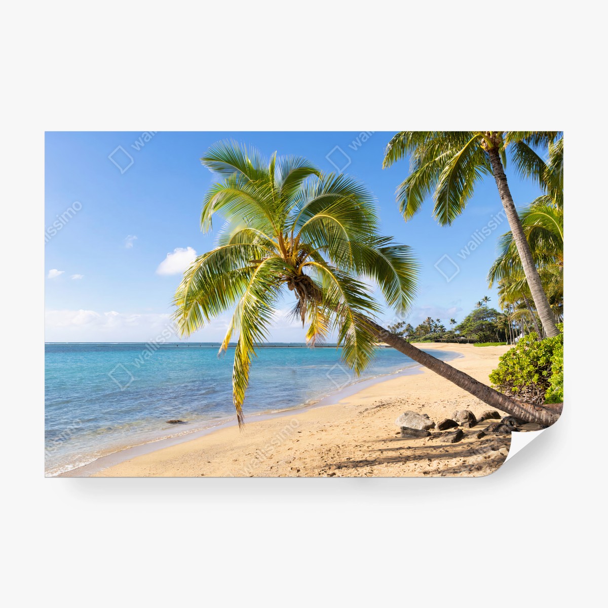 Fotomural PLAYA PALMERA TROPICAL OCÉANO ARENA PARA SALA – Pixers®