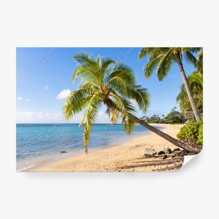 Fotomural PLAYA PALMERA TROPICAL OCÉANO ARENA PARA SALA – Pixers®