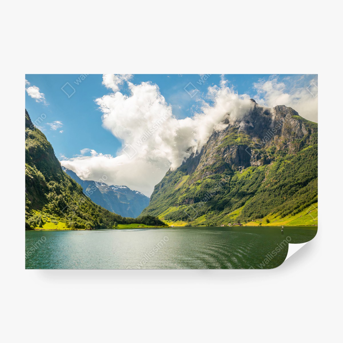 Fotomural FIORDO NORUEGA MONTAÑAS PAISAJE VERDE PARA SALÓN – Pixers®