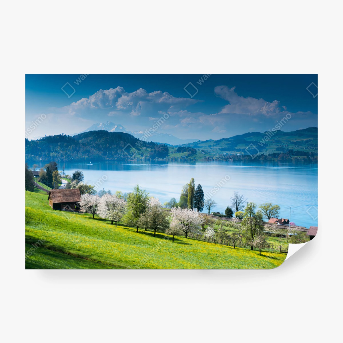 Fotomural SUIZA LAGO MONTAÑAS PAISAJE VERDE PARA SALA – Pixers®