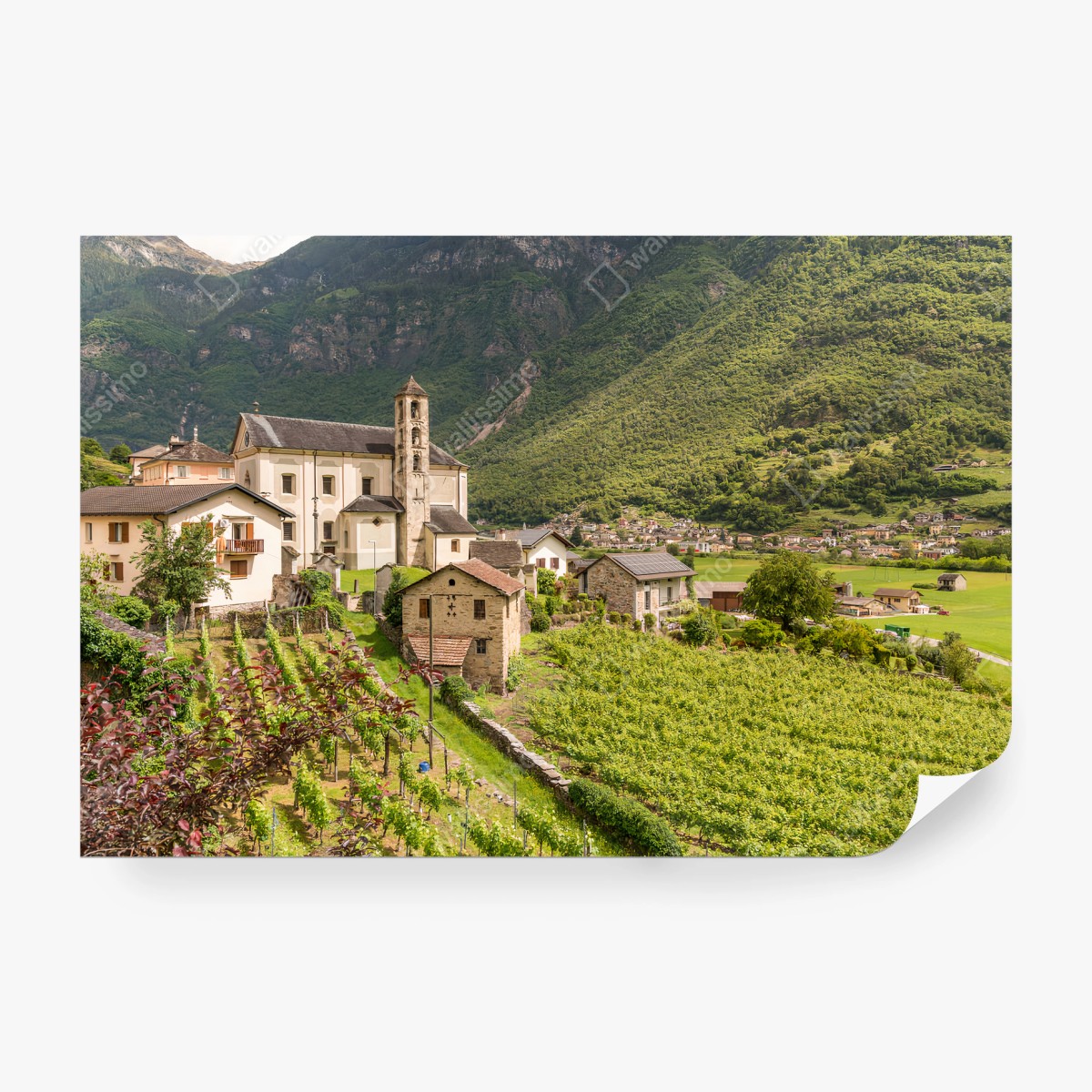 Fotomural PUEBLO IGLESIA VIÑEDO MONTAÑA PAISAJE PARA EL SALÓN – Pixers®