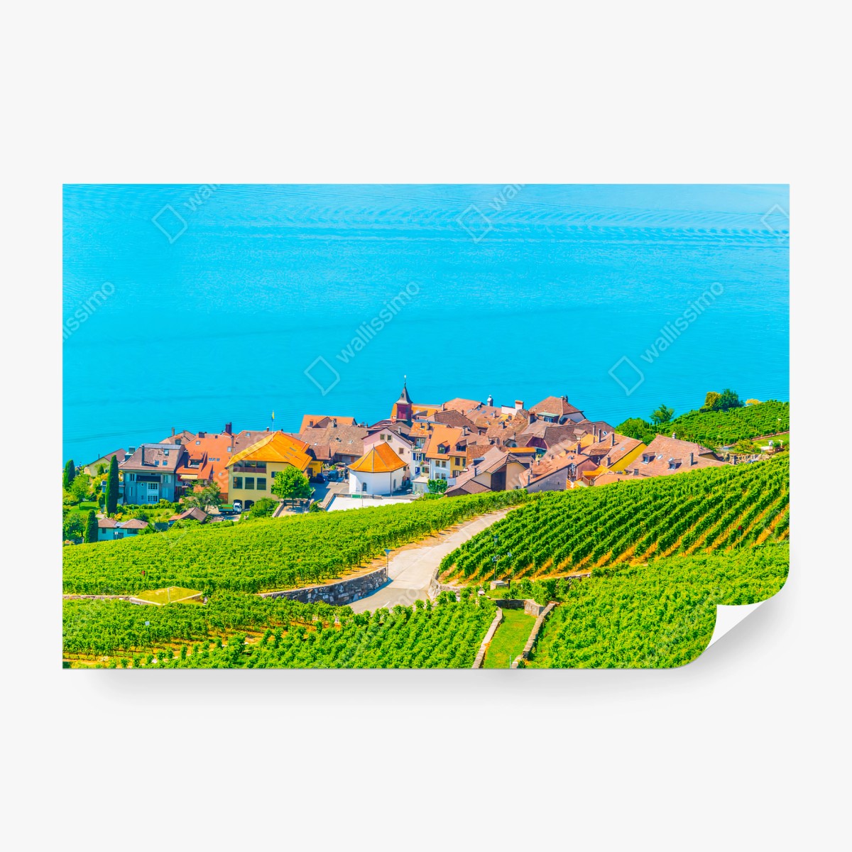 Fotomural VIÑEDO LAGO PUEBLO PAISAJE VERDE PARA SALÓN – Pixers®