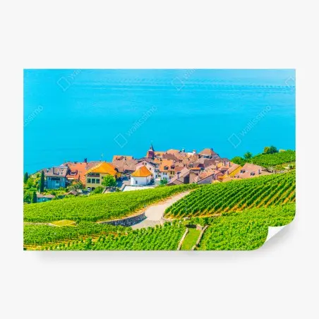 Fotomural VIÑEDO LAGO PUEBLO PAISAJE VERDE PARA SALÓN – Pixers®
