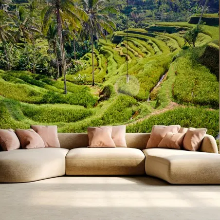 Fotomural BALI ARROZ TERRAZAS TEGALLALANG VERDE PARA SALÓN – Pixers®