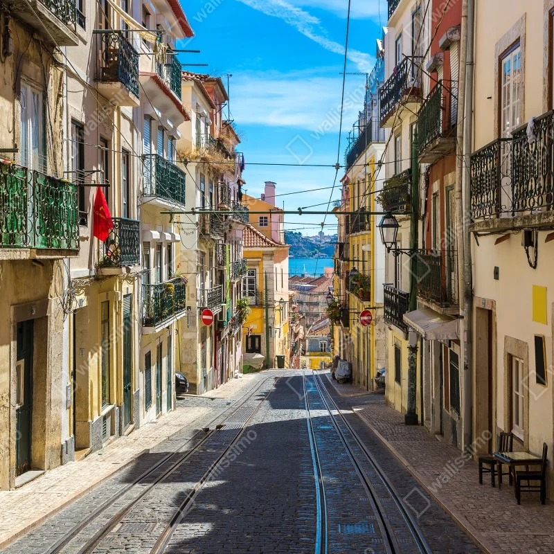 Pegatina para ventana calle empedrada de Lisboa bajo el sol – Pixers®