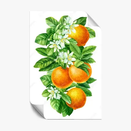 Póster ramas de naranjo con flores en acuarela – Pixers®
