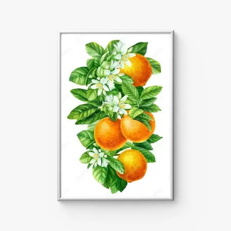 Póster ramas de naranjo con flores en acuarela – Pixers®