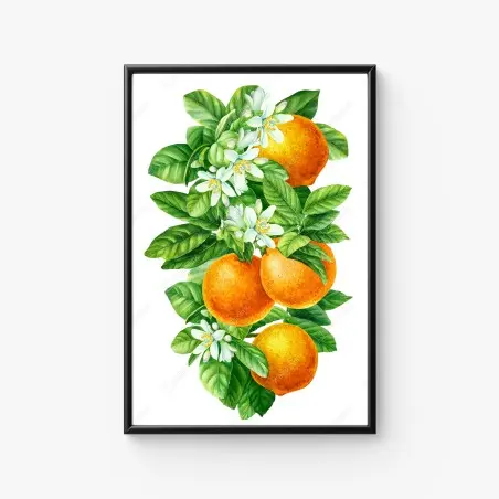 Póster ramas de naranjo con flores en acuarela – Pixers®