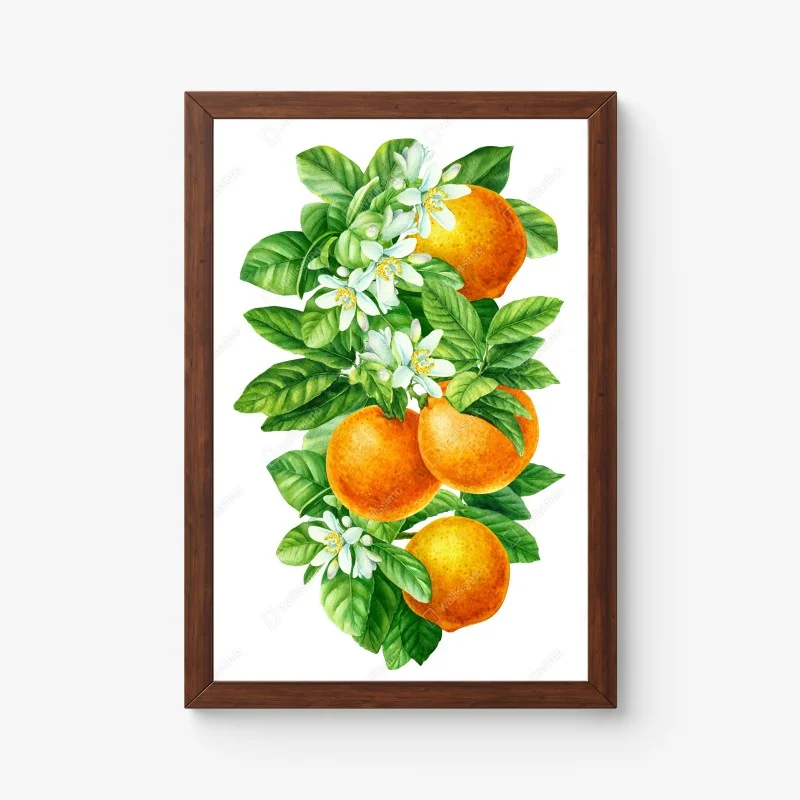 Póster ramas de naranjo con flores en acuarela – Pixers® Póster ramas de naranjo con flores en acuarela – Pixers®
