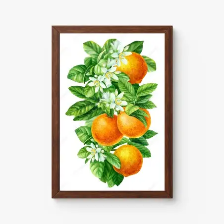 Póster ramas de naranjo con flores en acuarela – Pixers®