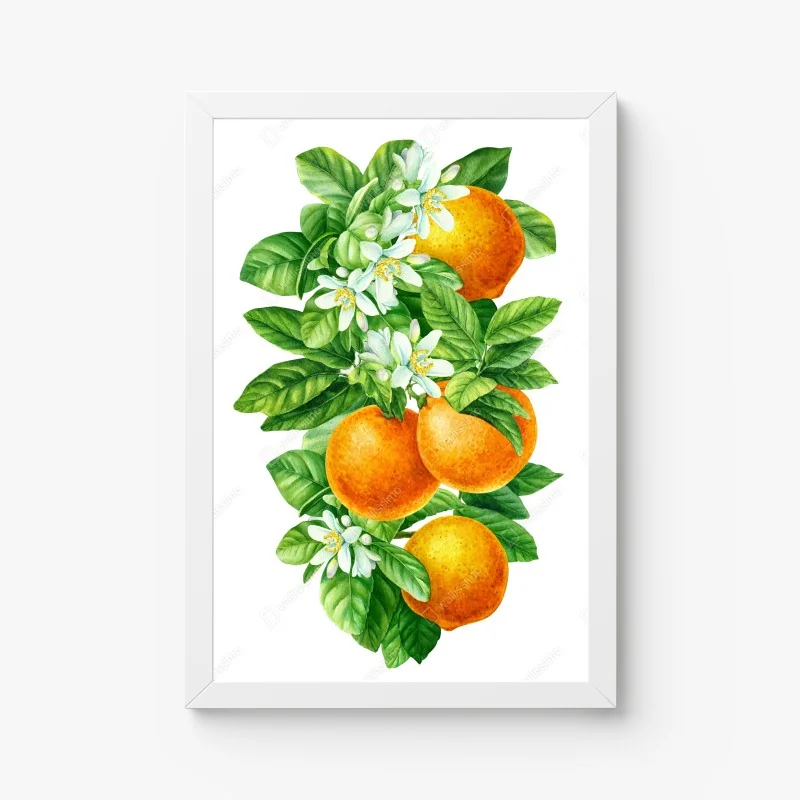 Póster ramas de naranjo con flores en acuarela – Pixers® Póster ramas de naranjo con flores en acuarela – Pixers®