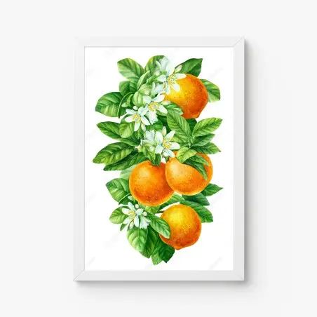Póster ramas de naranjo con flores en acuarela – Pixers®