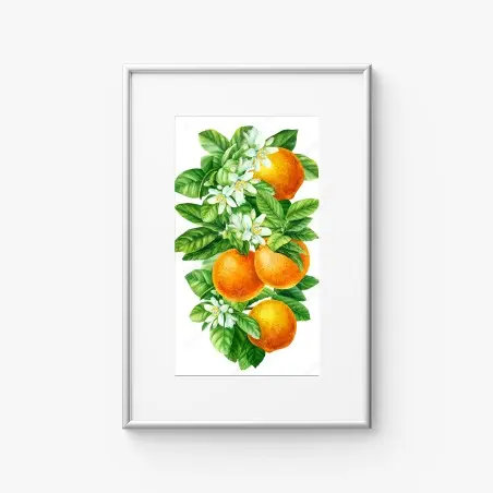 Póster ramas de naranjo con flores en acuarela – Pixers®